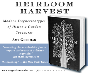 Heirloom-Harvest_AdBiblio300x250